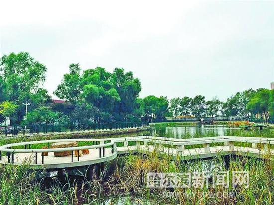 新塘镇沙浦村人口_广州增城市新塘镇沙浦边村一在建工地挡土墙发生大面积坍