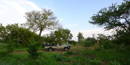 黄渤在南非克鲁格国家公园采集南非声音。