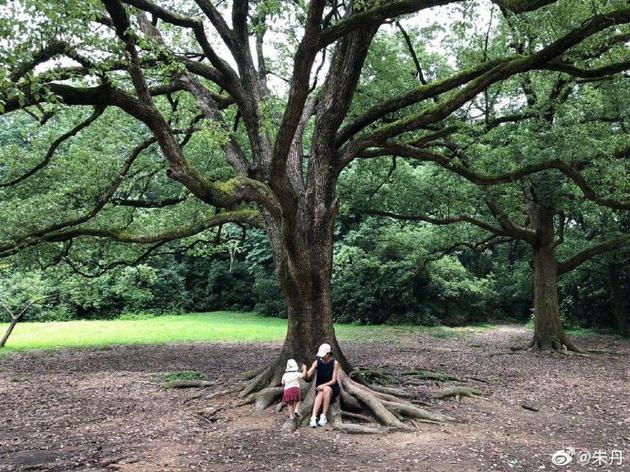 朱丹和女儿在树下
