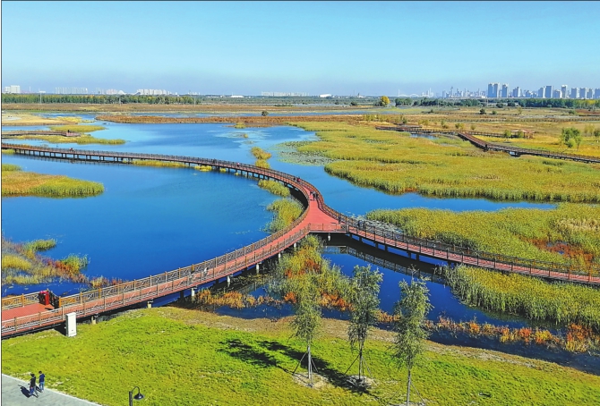 夏日里，哈尔滨市松江湿地空气清新、景色宜人。 本报记者苏强摄