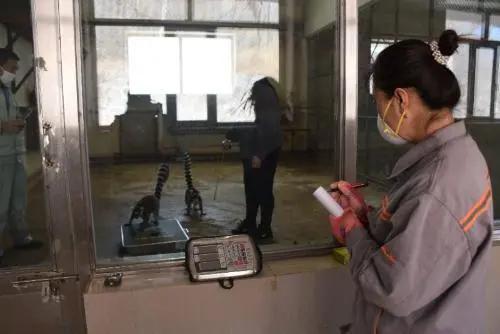 工作人员在对院内进行消毒。