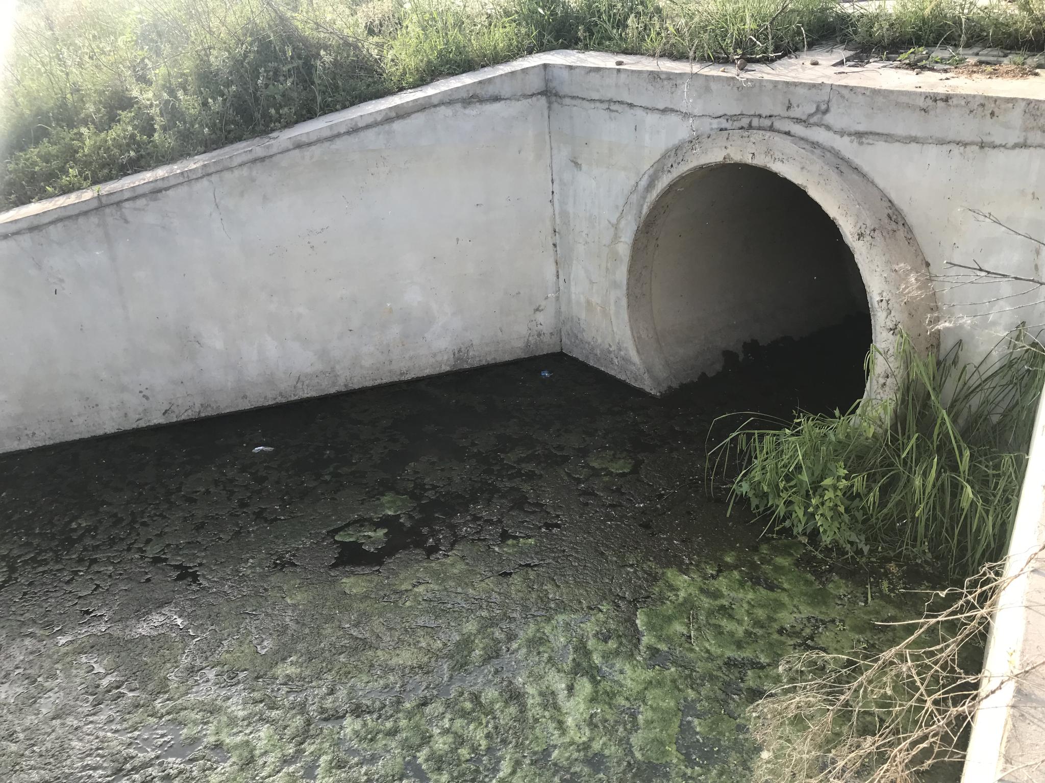 位于随州欢乐世界府河对岸的一处生活污水直排管道，生活污水在这里未经处理就直接流入府河。陈耳生 摄