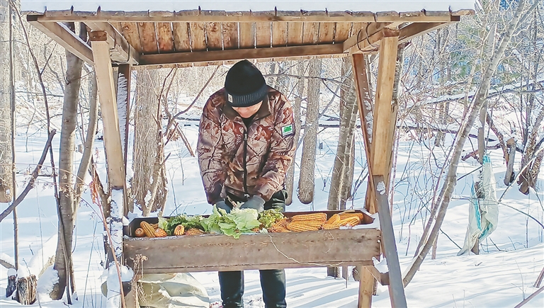 投放食物。