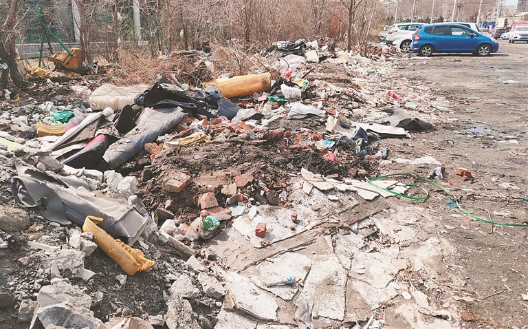 南岗区清华大街桥边空地成垃圾场数十米垃圾堆出一条垃圾带 新浪黑龙江 新浪网