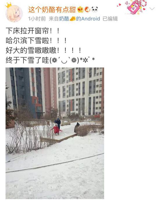 网友 @瑞典八爪鱼：一下雪，哈尔滨的气质就出来了 ↓