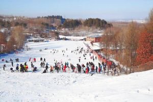 大雪“引流”人气旺 雪场“抢跑”冰雪季 哈市周边滑雪场升级装备提升服务狂揽本地游客