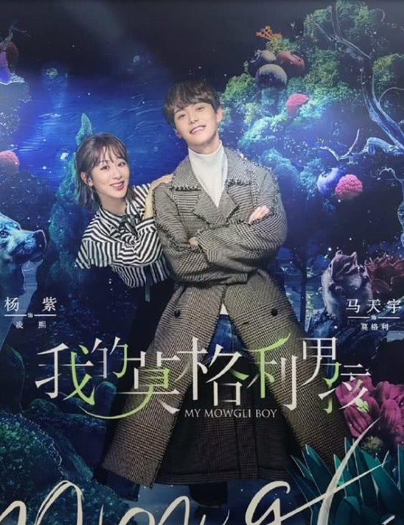 8月熒屏:黃磊趙又廷宋茜接棒 楊紫李現或再接再厲