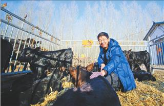 张辉对扶贫牛关爱有加。 本报记者刘心杨摄