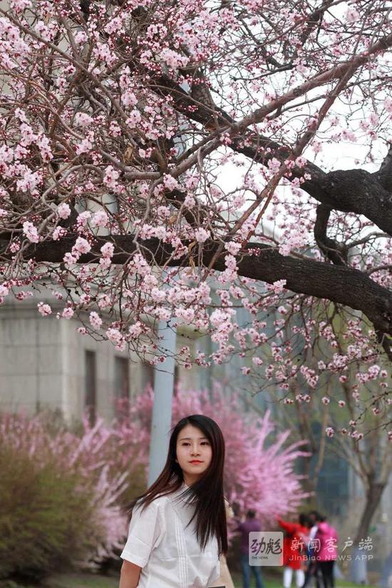 黑龙江晨报记者 张澍摄
