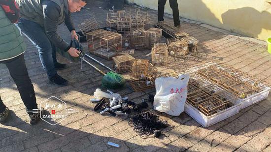 非法捕鸟高峰已到志愿者1天解救300余只野生鸟