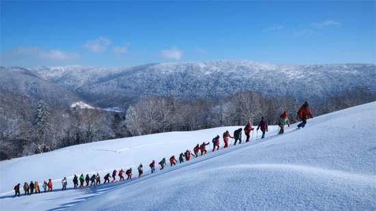 牡丹江林海雪原风光 牡丹江文旅摄影协会供图