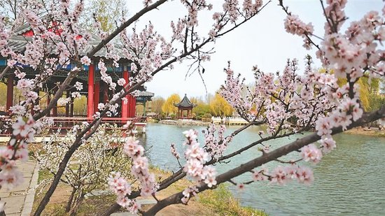 中国亭园似花海。