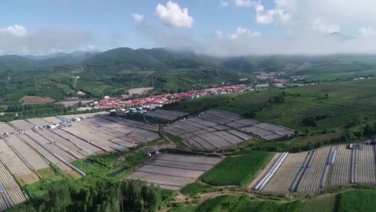 黑龙江：特色农业助力边疆发展