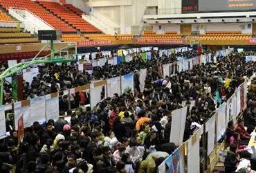 哈尔滨一大批单位正在招聘 教师、医生、执法