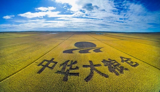 黑龙江奋力走出全面振兴新路子