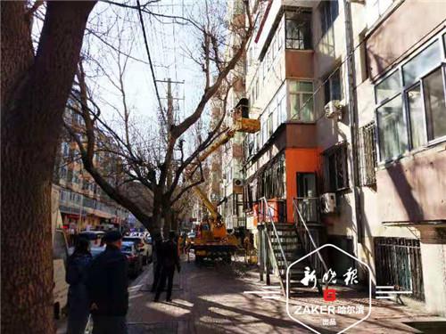 截至 15 时，红霞街上的十余棵节外生枝的老树已经被修建完毕。