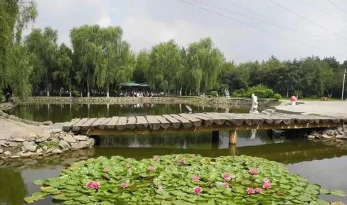 地址: 香坊区健康路副一号