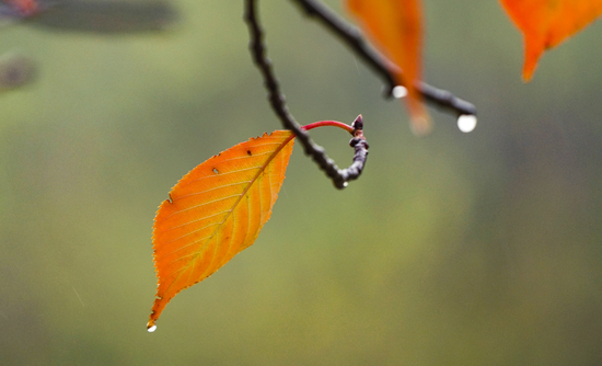 氣溫波動起伏較大，注意別感冒