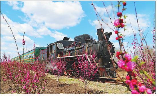 森林小火车被蒸汽机研究会专家誉为“世界级旅游珍品”。