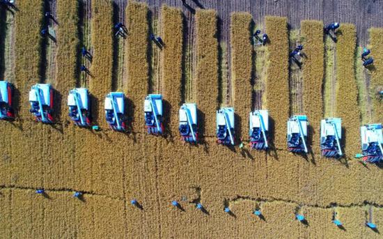 品牌知名度 市场美誉度 色香体验度 黑龙江大米