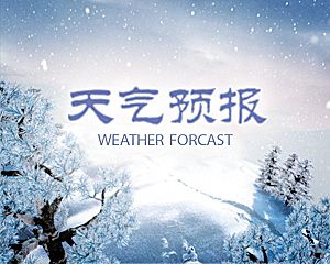 网络配图