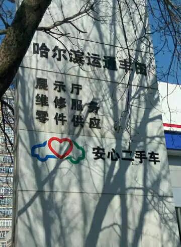 图片来自网络