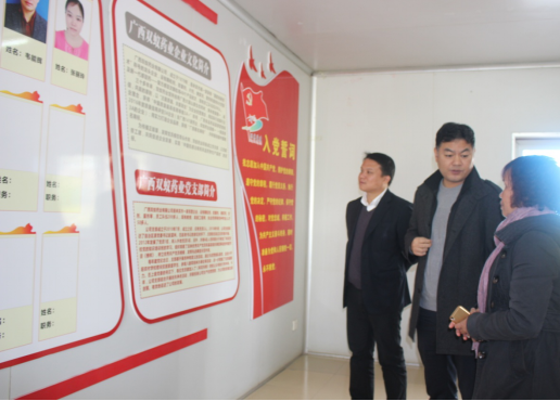 来宾市副市长视察双蚁药业,并指导党建工作