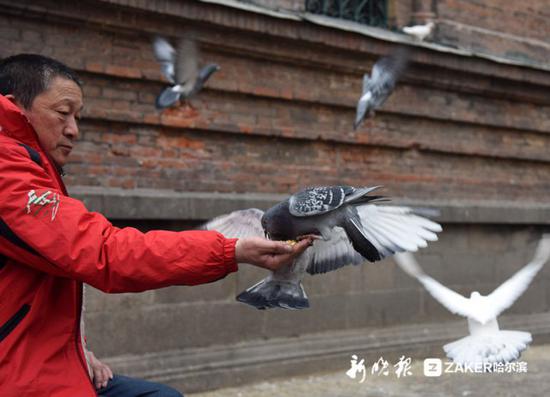 编辑 李洪霜