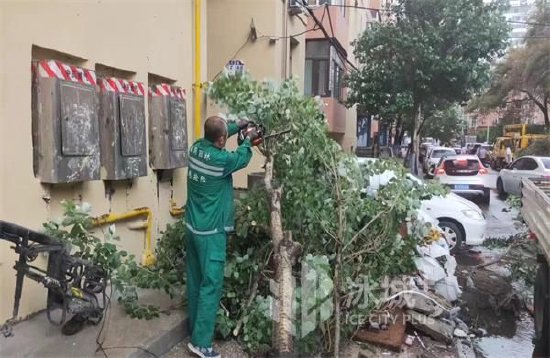 大风刮倒树木砸车阻路，园林部门全力抢险救援