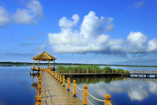 鸡西兴凯湖湿地