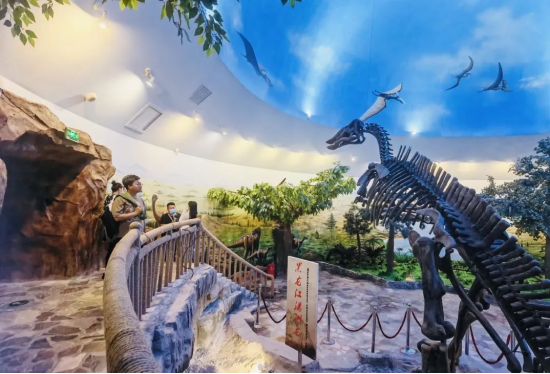 嘉荫神州恐龙博物馆