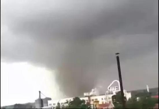 吉林松原刮起龙卷风 碗口粗大树被连根拔起