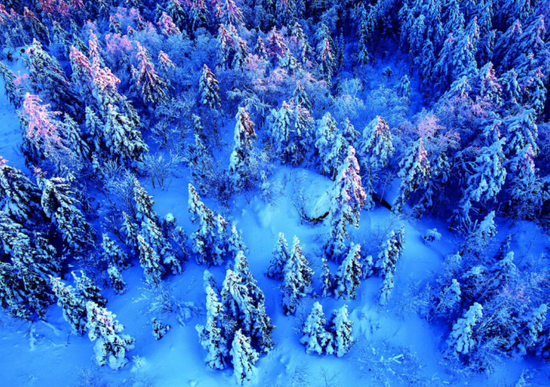 大箐山雪凇