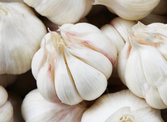 现在可以种大蒜吗大蒜什么时间种 h0Zz-hexfcvk3050667.jpg