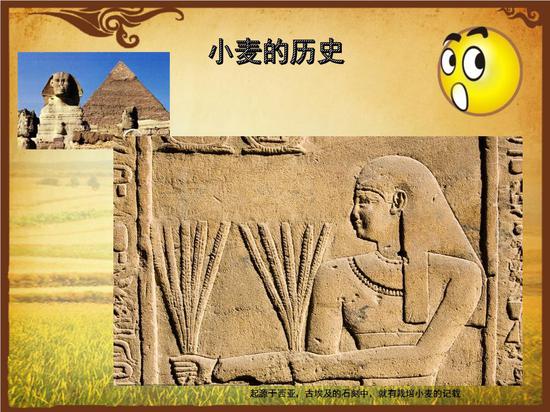 麦秸画的由来