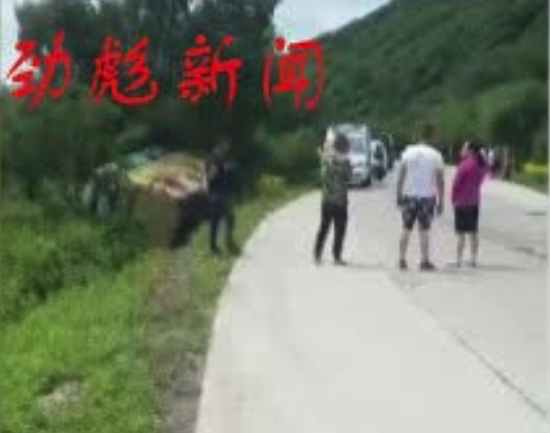 视频截图