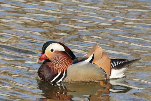 许宏涛-乐鱼app(leyu)官方网站-乐鱼官网