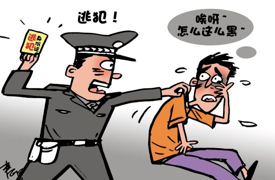 网络配图