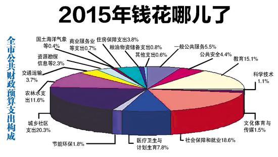 2015年钱花哪儿了