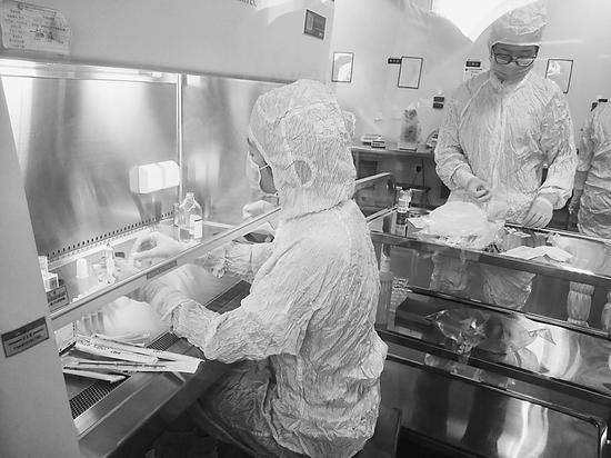 黑龙江天晴干细胞股份有限公司的科研人员在进行间充质干细胞诱导软骨细胞研究。 本报记者彭溢摄