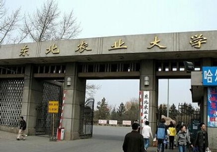 东北农业大学