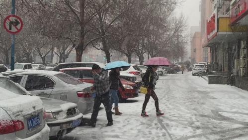 哈尔滨今日降雪