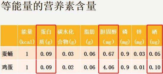 哈医大四院营养科周春凌主任:蚕蛹与鸡蛋的恩