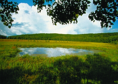 五大连池风景区