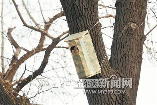 “这是我的家,请别来打扰。”