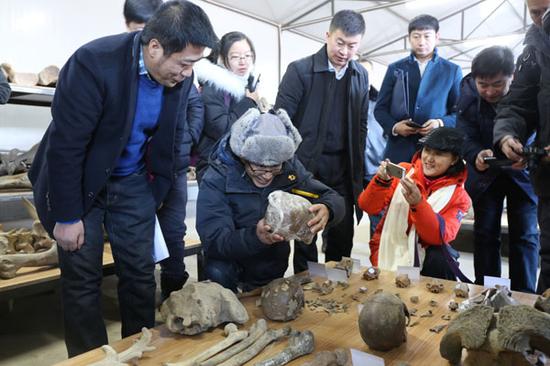 国家古生物化石专家委员会办公室副主任王丽霞（前排右一）与国内古生物化石顶级专家到青冈县古生物化石保护研究中心考察。