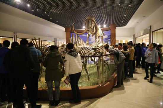 青冈县第四纪古生物化石博物馆已累计接待国内外各界人士2万余人。