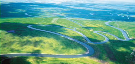 佳木斯大米稻法自然,粮心耕耘_佳木斯频道