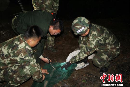 边防民警成功将猫头鹰捕获并带至自然保护区内放生