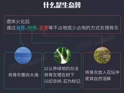 我省出台生态安葬实施意见 未来会怎样告别世